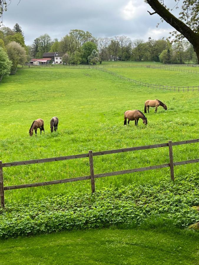 Herrenhaus - Starnberger See - Ammerland Munsing Luaran gambar