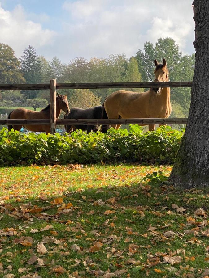 Herrenhaus - Starnberger See - Ammerland Munsing Luaran gambar