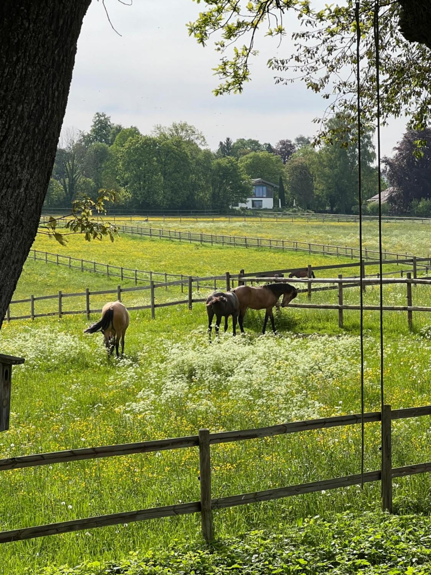 Herrenhaus - Starnberger See - Ammerland Munsing Luaran gambar