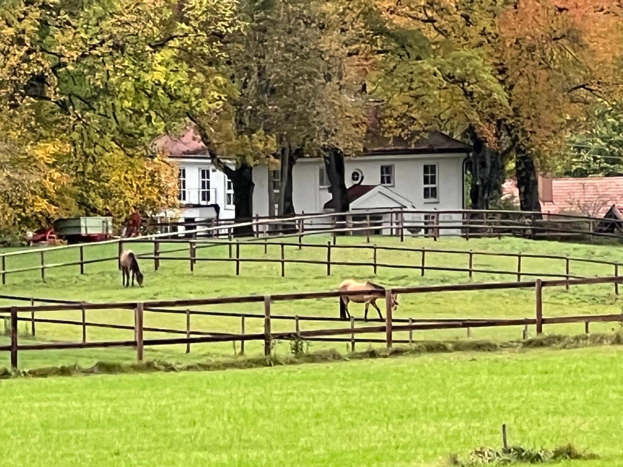 Herrenhaus - Starnberger See - Ammerland Munsing Luaran gambar