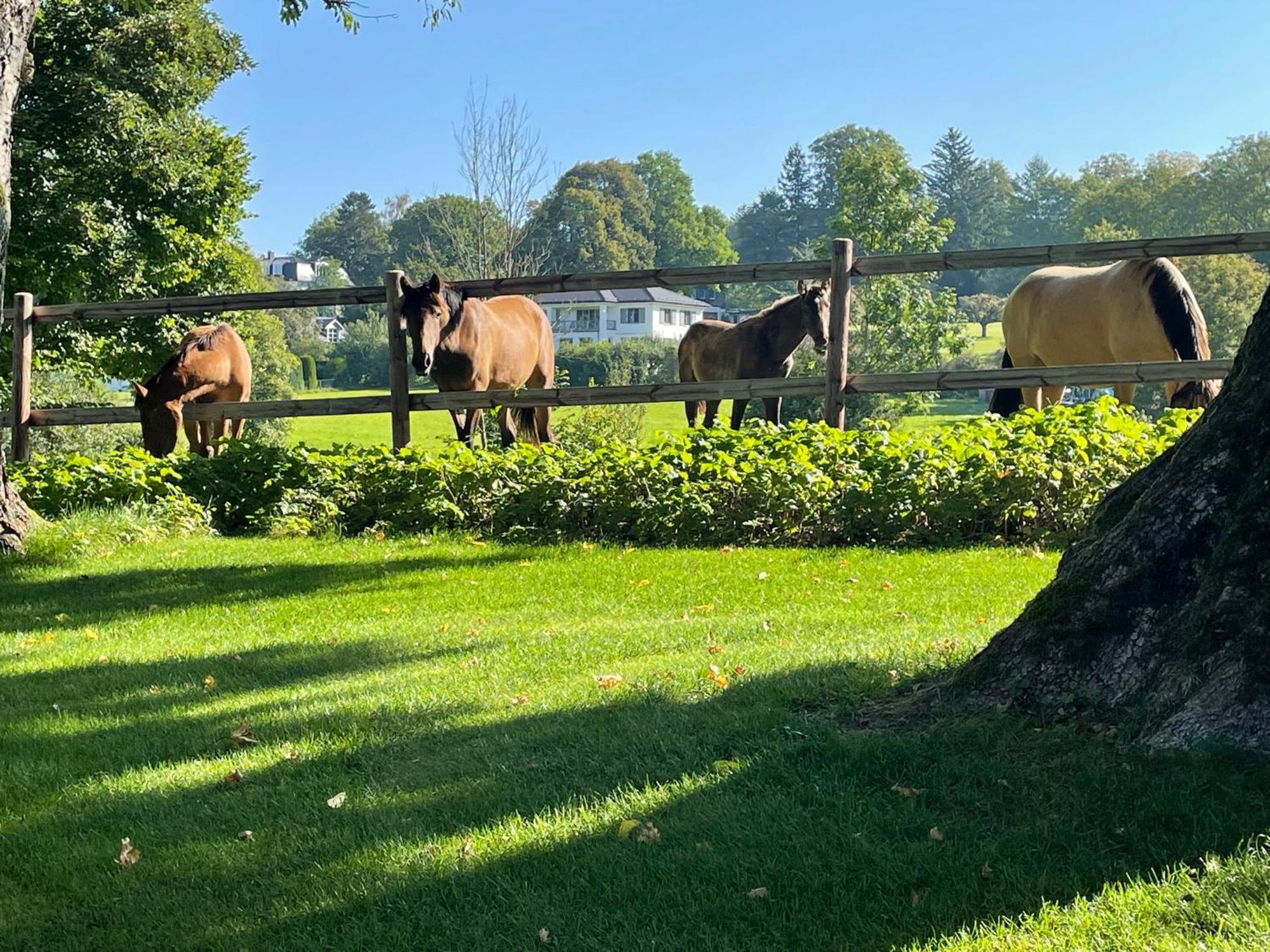 Herrenhaus - Starnberger See - Ammerland Munsing Luaran gambar
